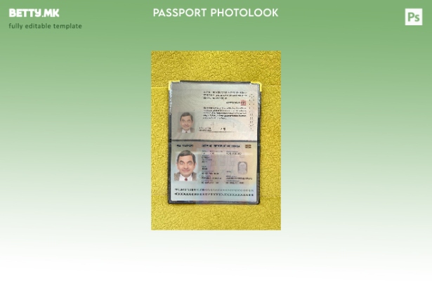 Модерен стил на корејски пасош присутен шаблон за фотоизглед 1